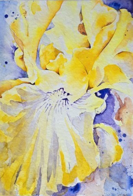 Aquarellbild einer abstrakten  Irisblüte in Gelb -und Lilatönen